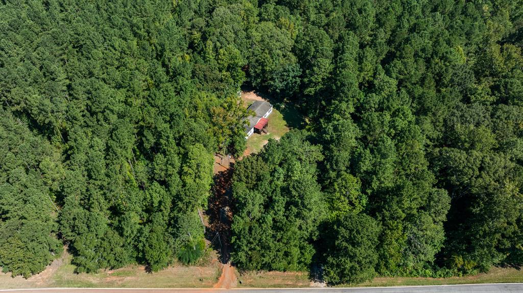 4451 Kings Gap Road Shiloh, GA 31826 - Photo 3 of 26 Gallery Image 3