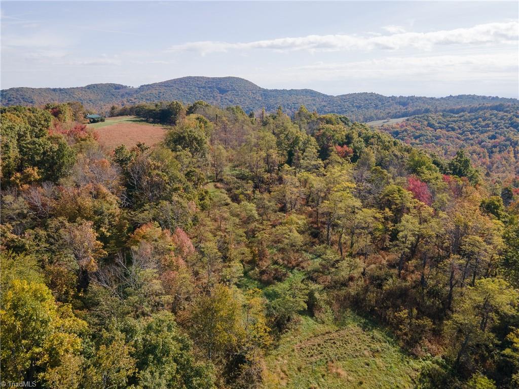 0 Fairview Church Road Southwest Floyd, VA 24091 - Photo 22 of 36 Gallery Image 22