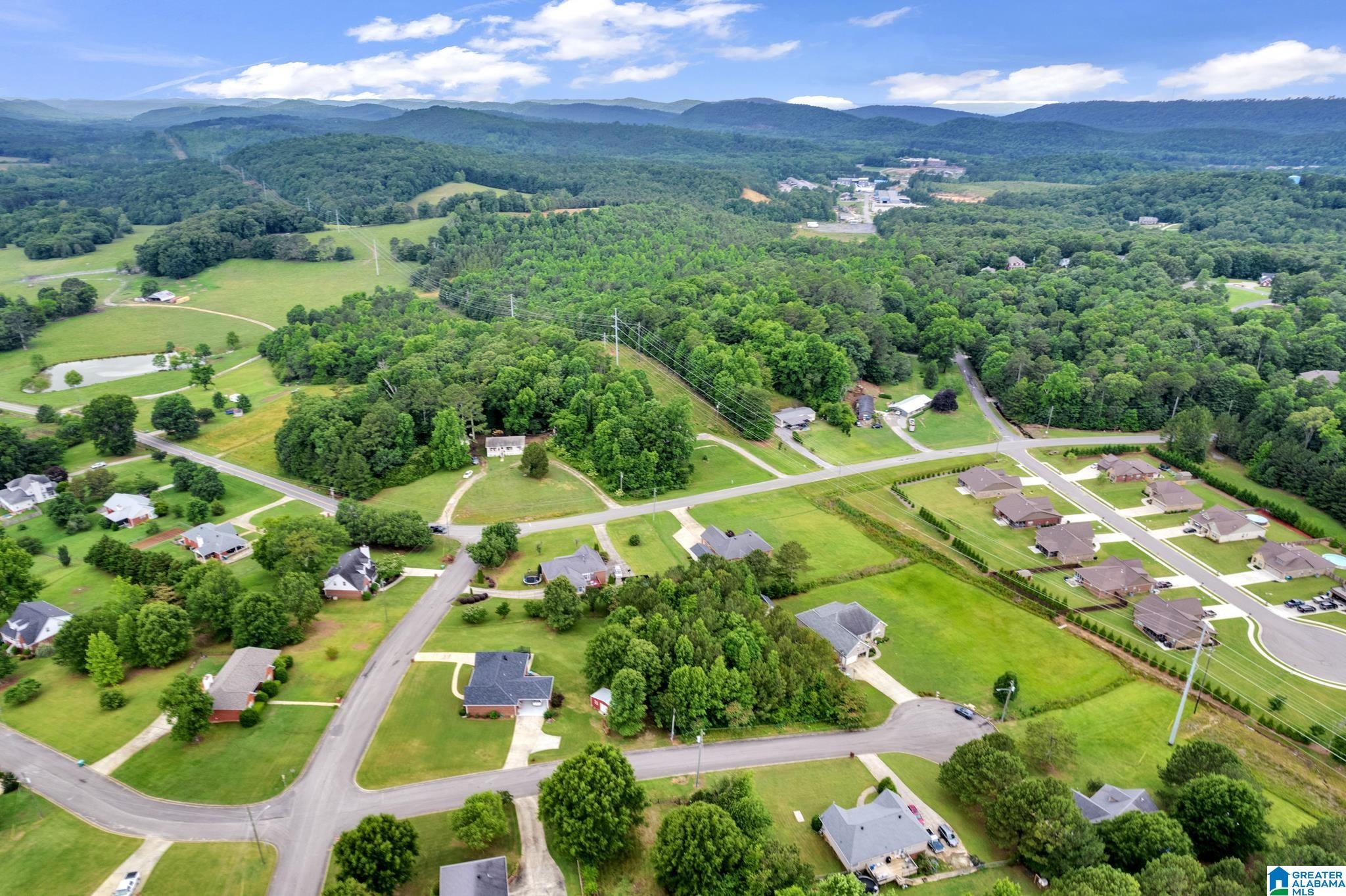 0 Valley View Lane, Unit 1 Oneonta, AL 35121 - Photo 8 of 13