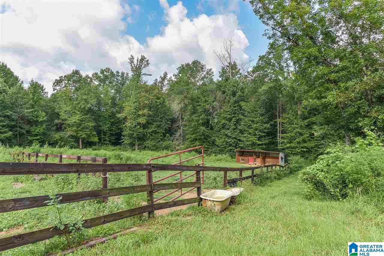 253 Fox Valley Farms Road Alabaster, AL 35114 - Photo 42 of 50