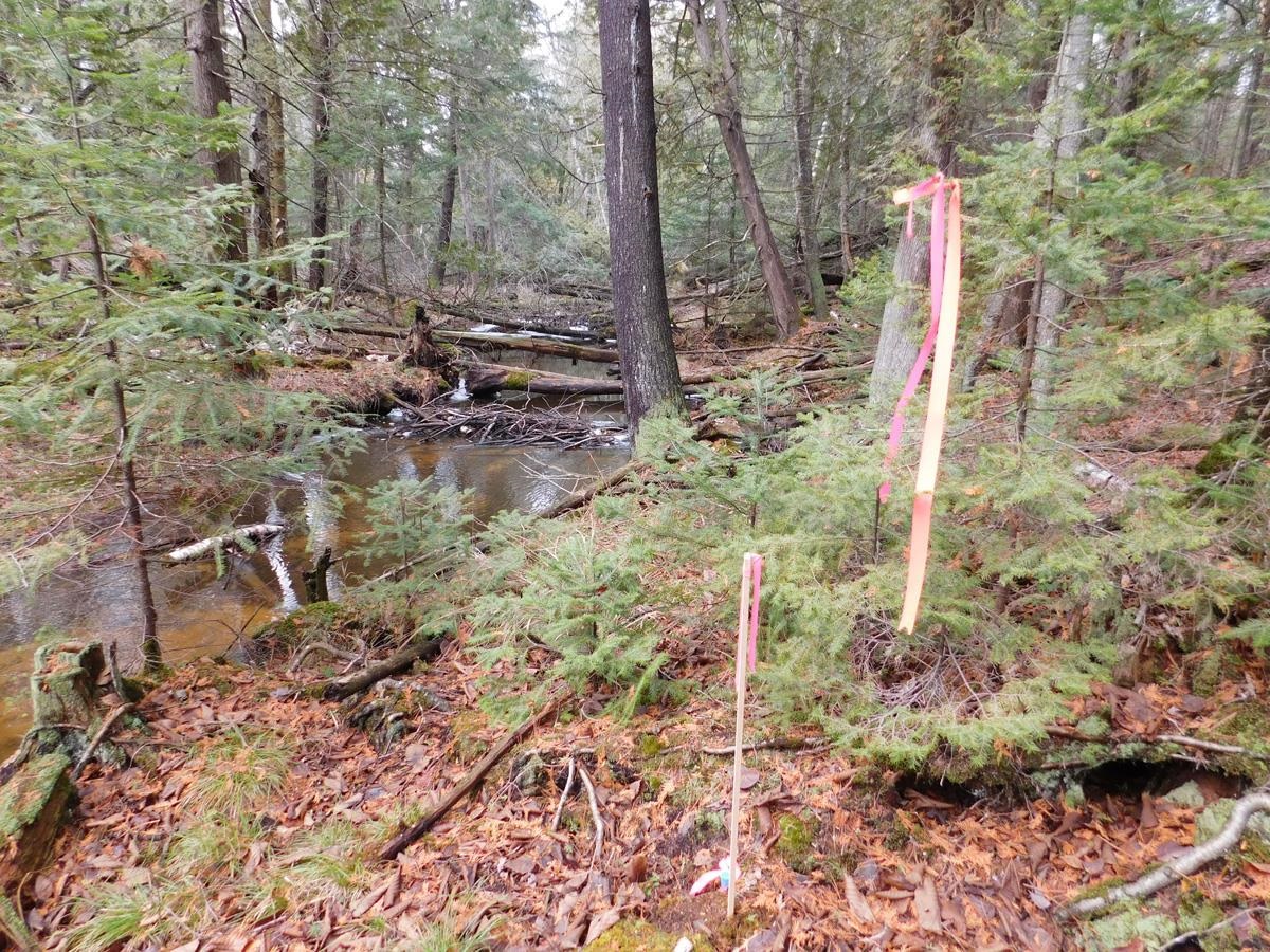 1 Kings Corner Road Oscoda, MI 48750 - Photo 10 of 20 1907805-9.JPG