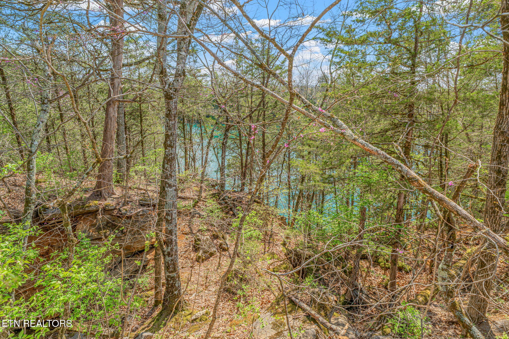 7760 Bell Road Knoxville, TN 37938 - Photo 35 of 39 IMG_0388