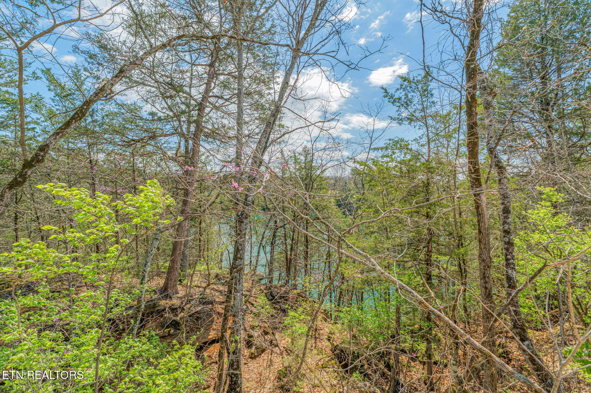 7760 Bell Road Knoxville, TN 37938 - Photo 36 of 39 IMG_0383