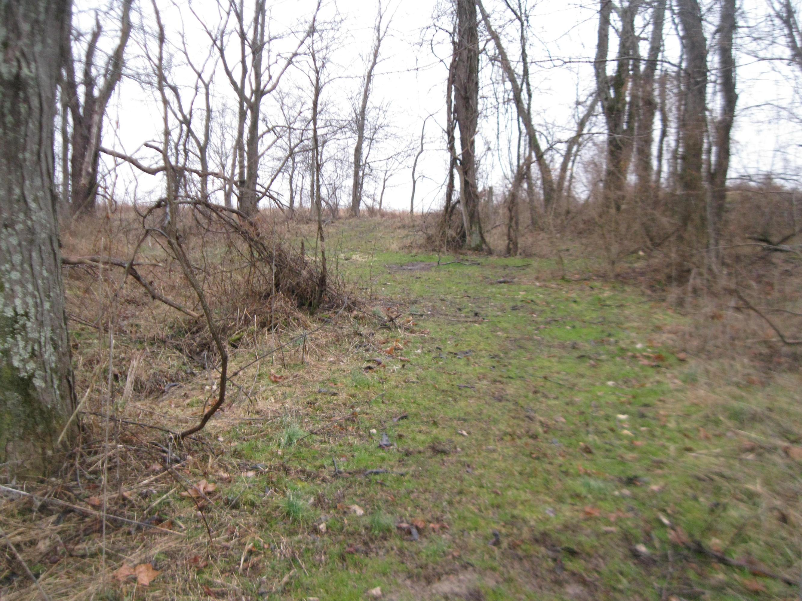 0 Shoemaker Road, Unit TRACT#4 Circleville, OH 43113 - Photo 1 of 7 Gallery Image 1