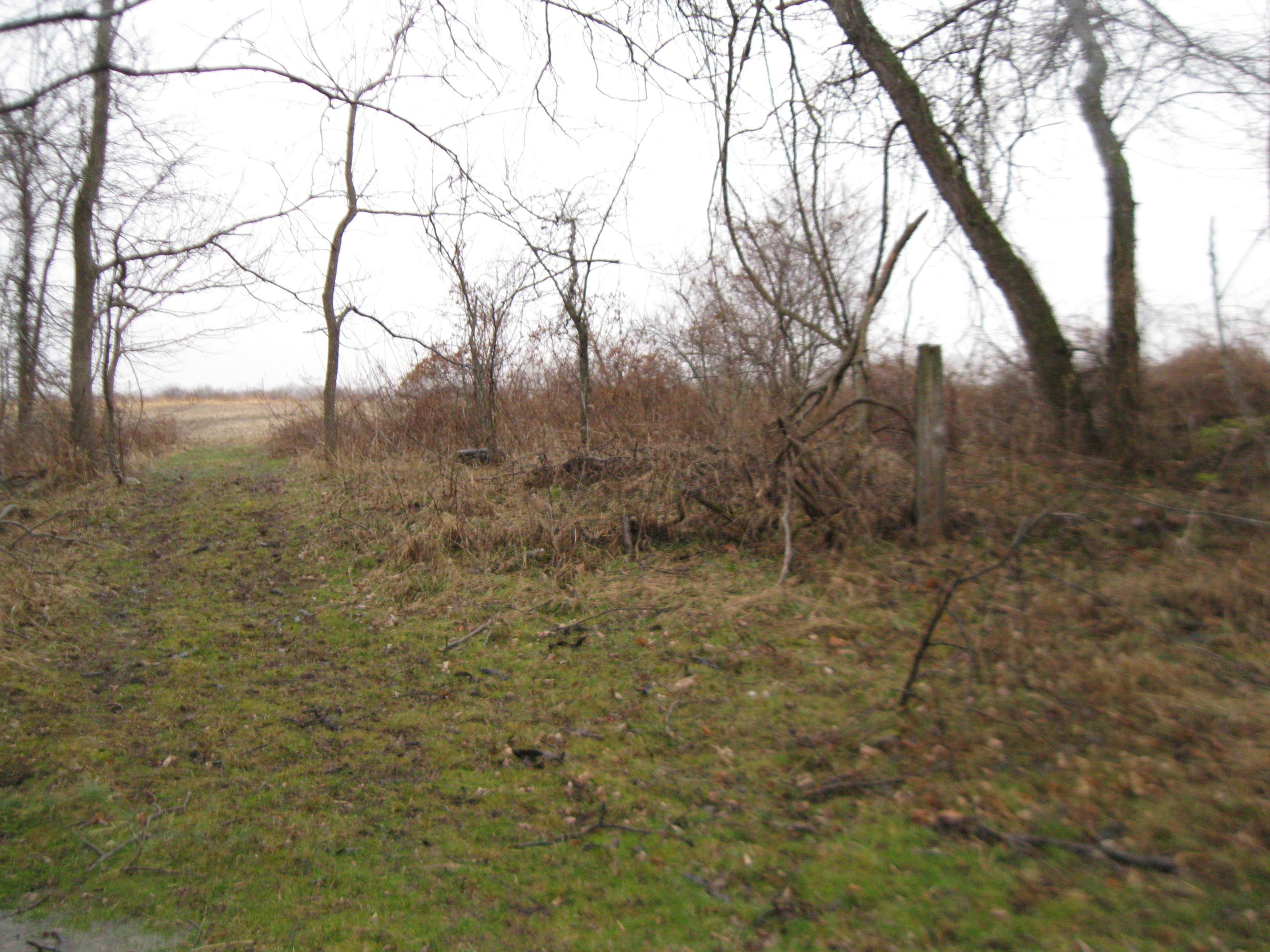 0 Shoemaker Road, Unit TRACT#4 Circleville, OH 43113 - Photo 4 of 7 Gallery Image 4