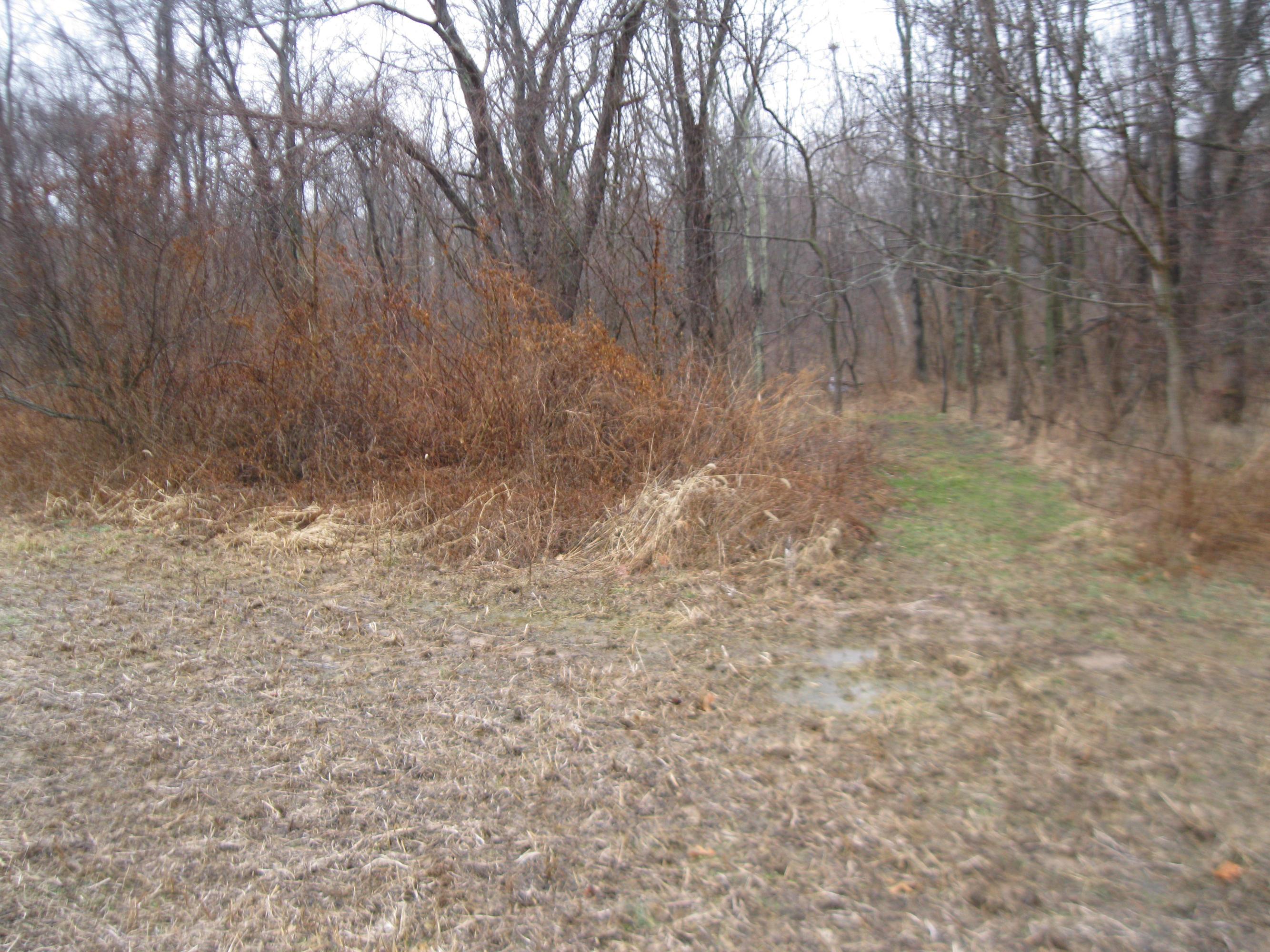 0 Shoemaker Road, Unit TRACT#4 Circleville, OH 43113 - Photo 6 of 7 Gallery Image 6