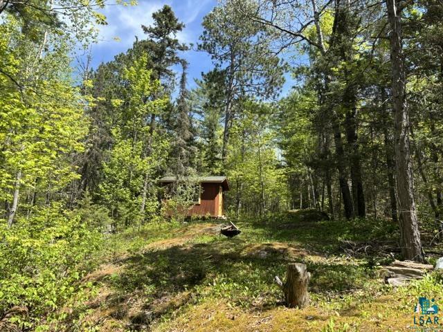 5049 Big Lake Road Ely, MN 55731 - Photo 9 of 14