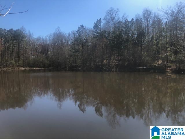 0 Shady Point Road, Unit 18 18 & 19 Locust Fork, AL 35097 - Photo 14 of 26