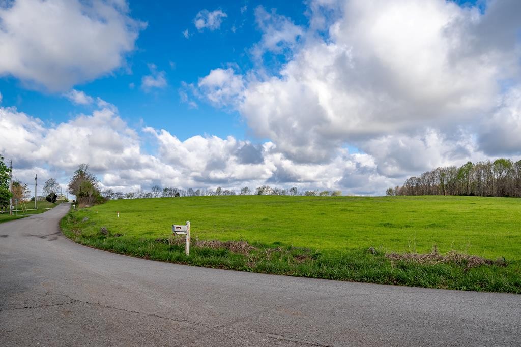 0 Frank Anderson Road Sparta, TN 38583 - Photo 11 of 16 a view of a big yard with a big yard