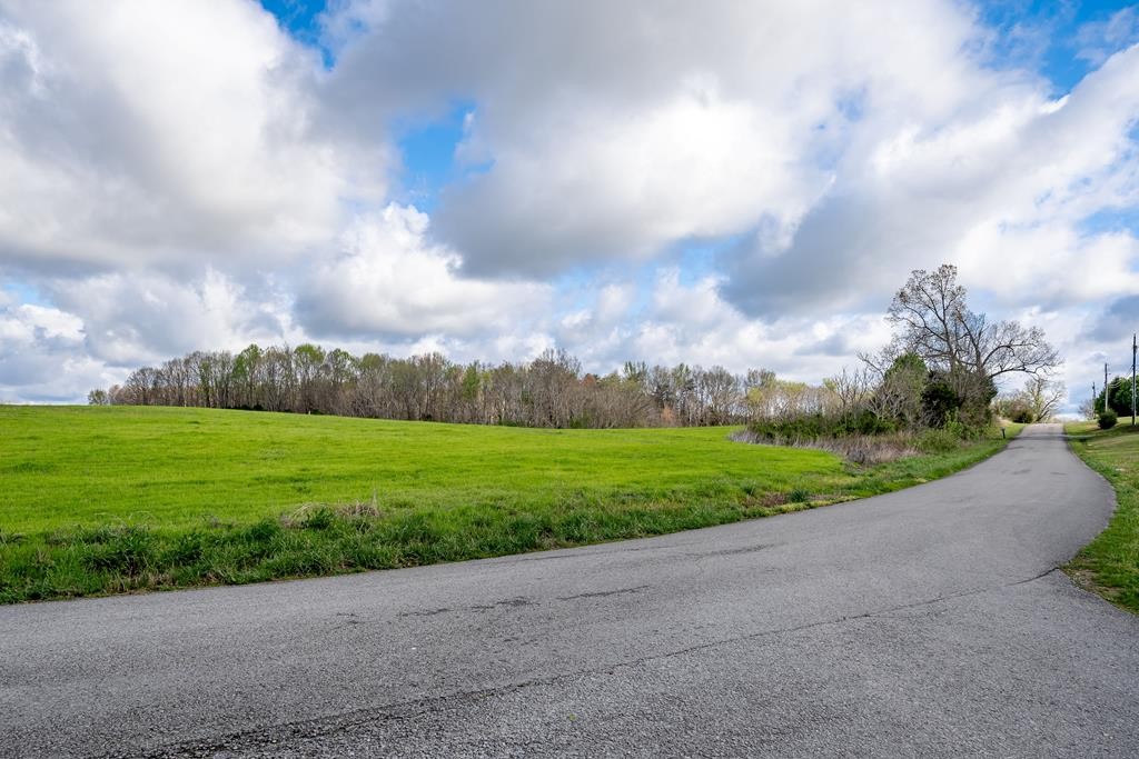 0 Frank Anderson Road Sparta, TN 38583 - Photo 12 of 16 a view of a garden and basketball court