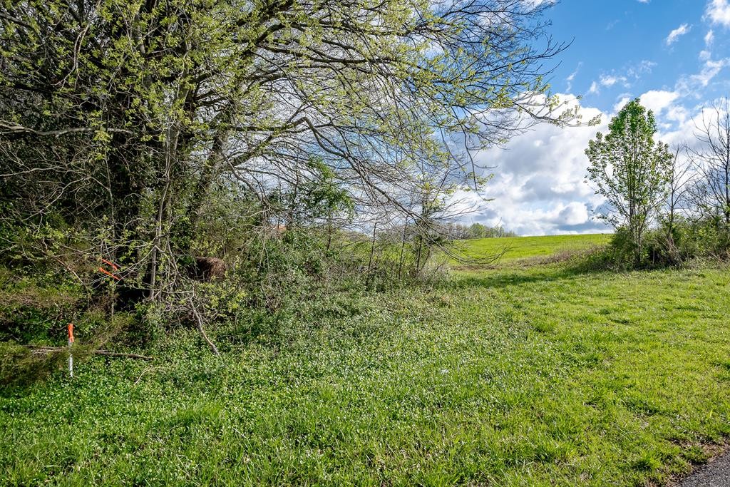 0 Frank Anderson Road Sparta, TN 38583 - Photo 13 of 16 a view of a yard with a tree