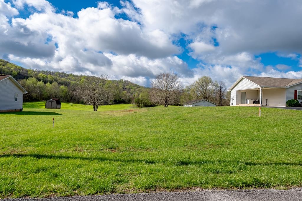 0 Frank Anderson Road Sparta, TN 38583 - Photo 14 of 16 a view of yard with green space