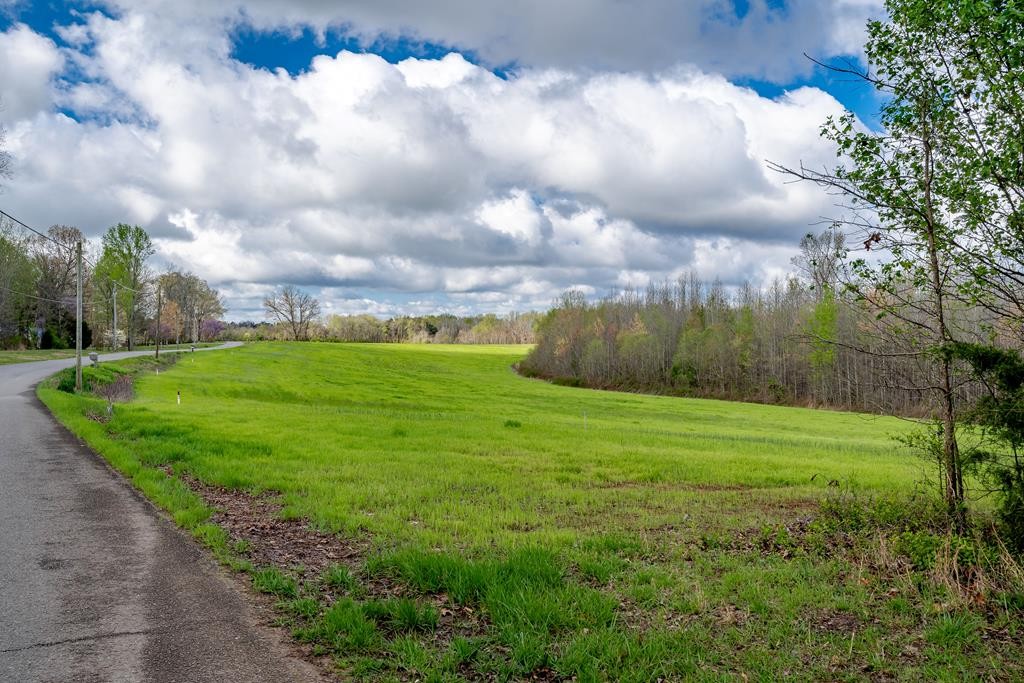 0 Frank Anderson Road Sparta, TN 38583 - Photo 7 of 16 a view of a big yard with plants and large trees