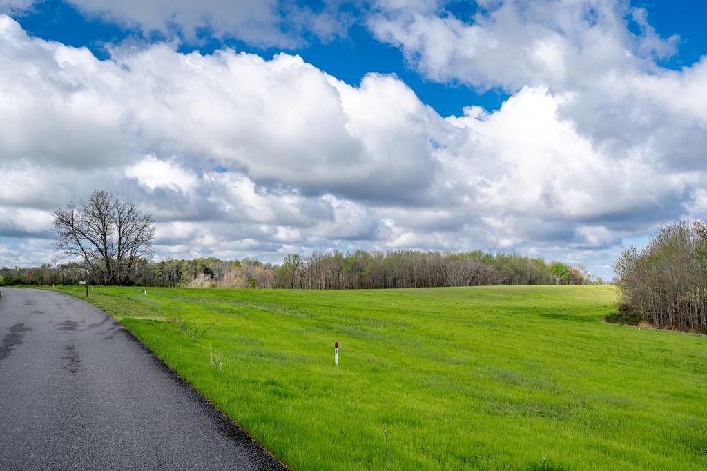 0 Frank Anderson Road Sparta, TN 38583 - Photo 8 of 16 a view of a big yard with plants and a big yard