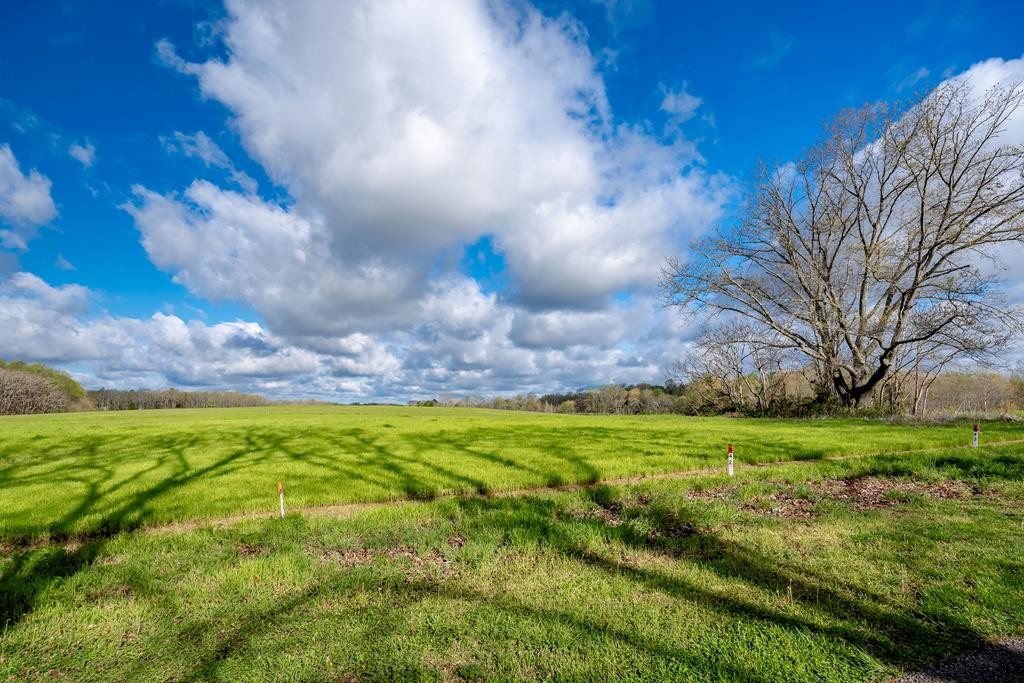 0 Frank Anderson Road Sparta, TN 38583 - Photo 9 of 16 a view of a big yard with table and chairs