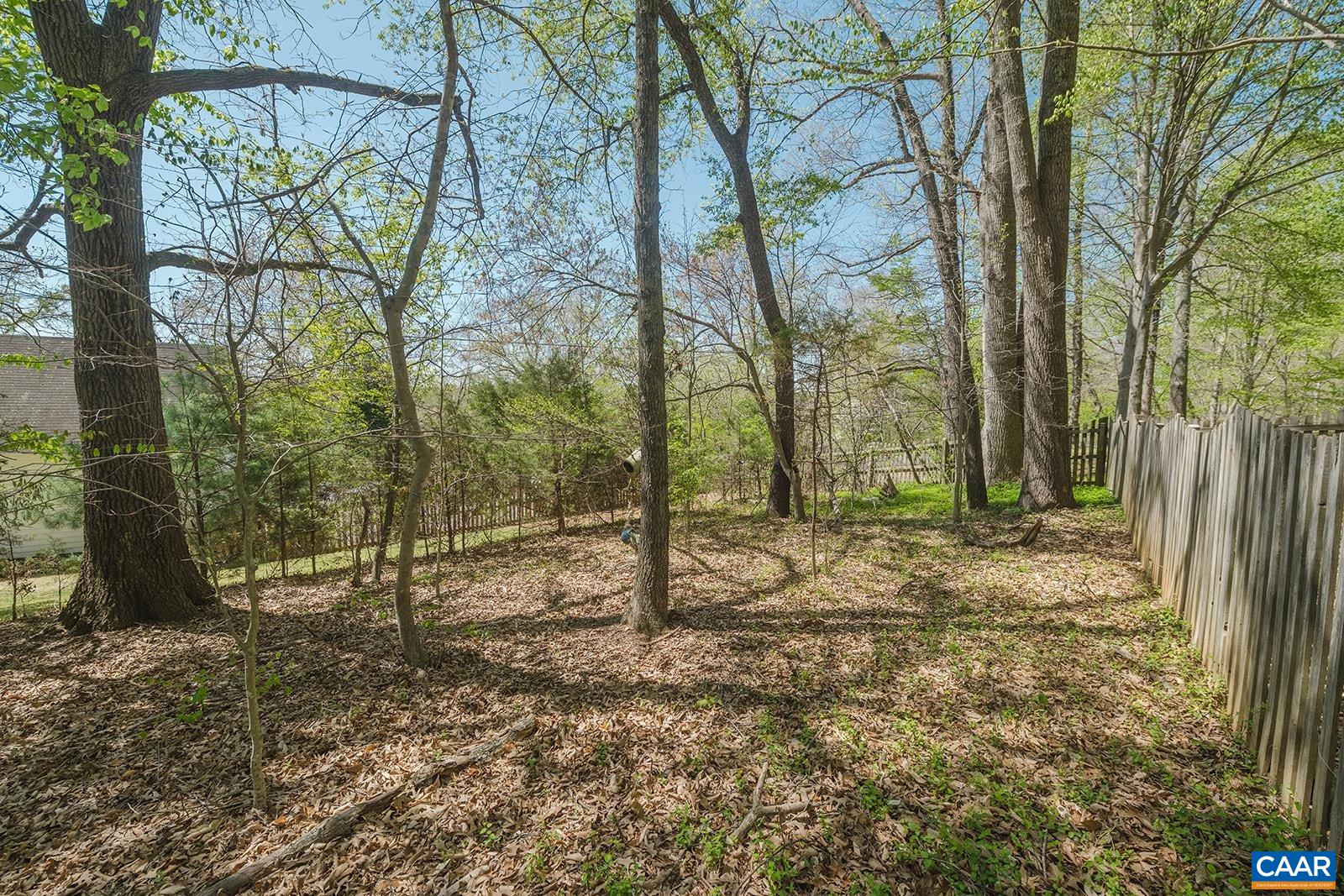 1642 Polo Grounds Road Charlottesville, VA 22911 - Photo 11 of 44 a backyard of a house with lots of green space