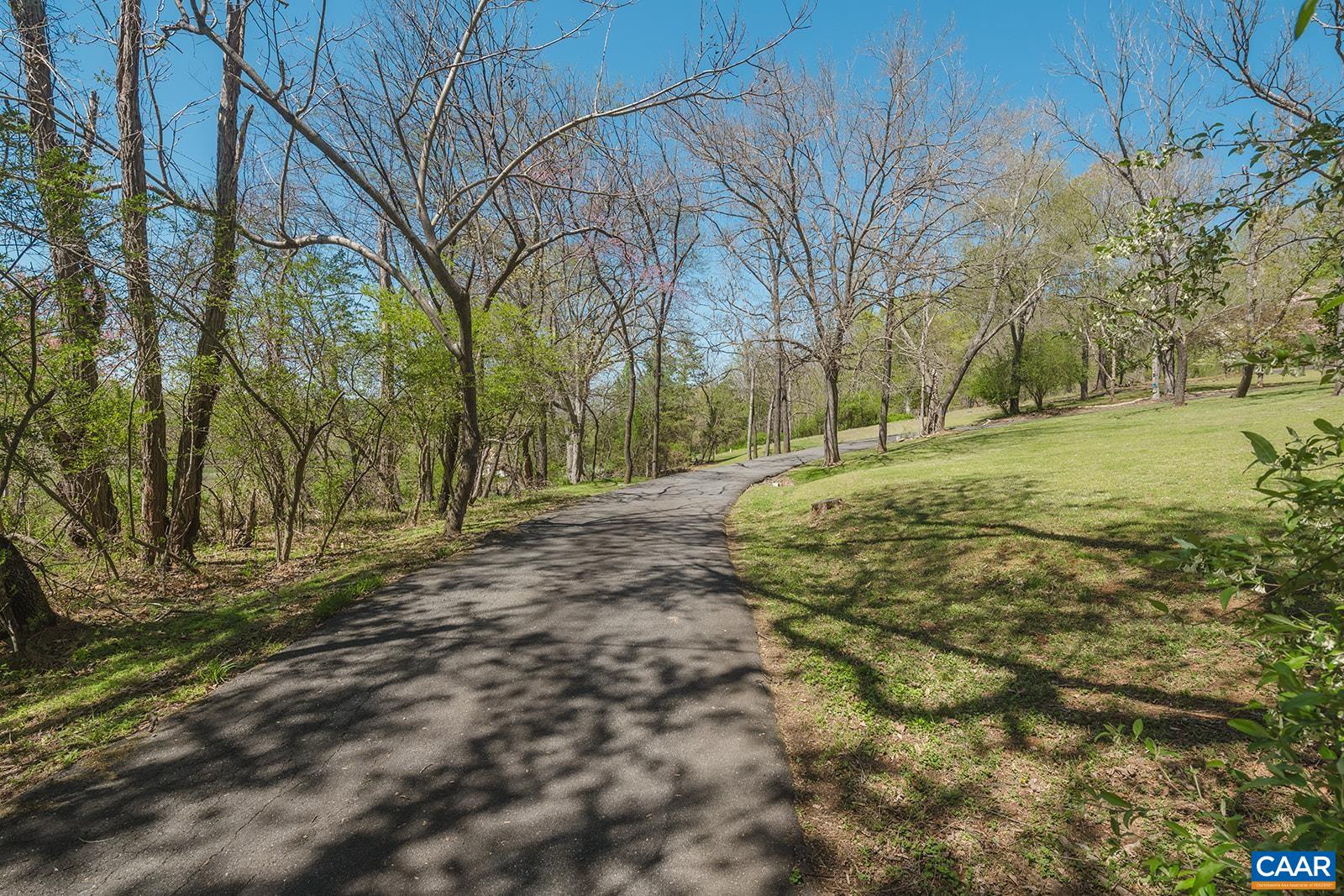 1642 Polo Grounds Road Charlottesville, VA 22911 - Photo 3 of 44 a view of road with large trees