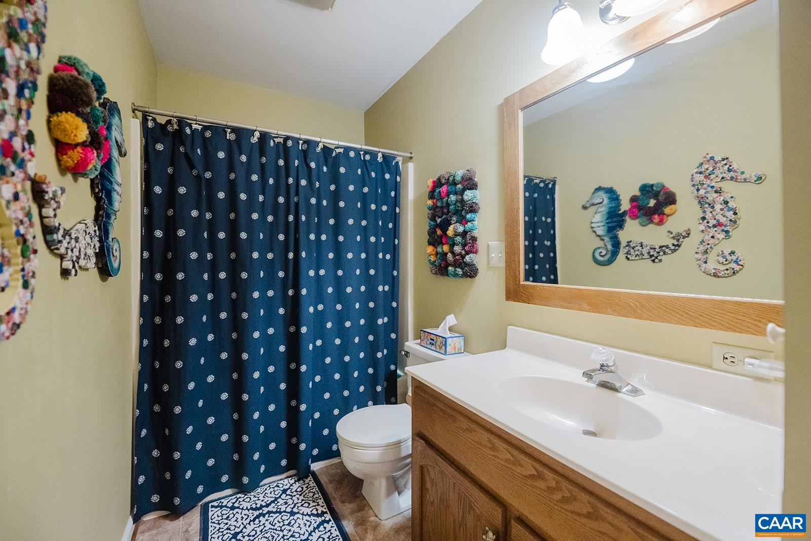 1642 Polo Grounds Road Charlottesville, VA 22911 - Photo 42 of 44 a bathroom with a sink a toilet and a shower curtain