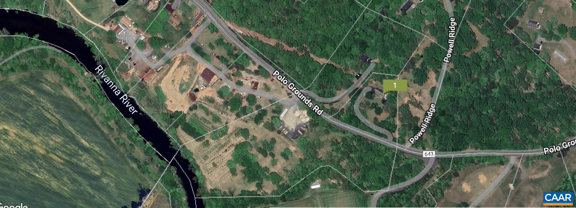 1642 Polo Grounds Road Charlottesville, VA 22911 - Photo 44 of 44 a close up of a plant in a garden