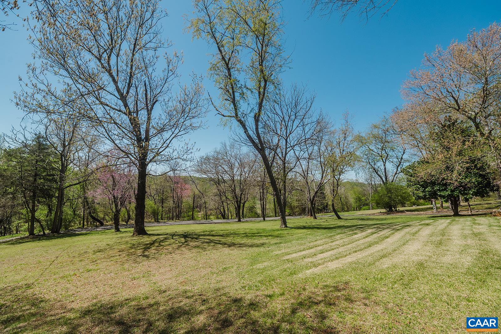 1642 Polo Grounds Road Charlottesville, VA 22911 - Photo 5 of 44 a view of outdoor space with trees