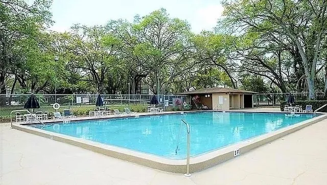 a view of a backyard with a large pool and couches