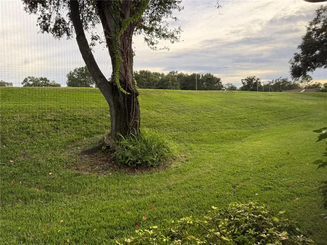 a view of an ocean from a yard