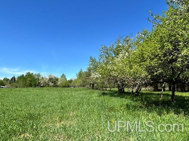 Tbd Tbd Bellaire Road Baraga, MI 49908 - Photo 40 of 49