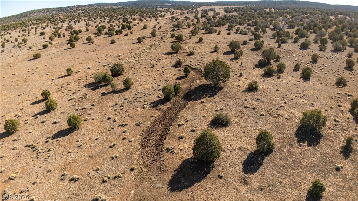 0 X-One Ranch Road Seligman, AZ 86337 - Photo 6 of 9 A vast, open expanse of undeveloped land dotted with natural desert foliage.