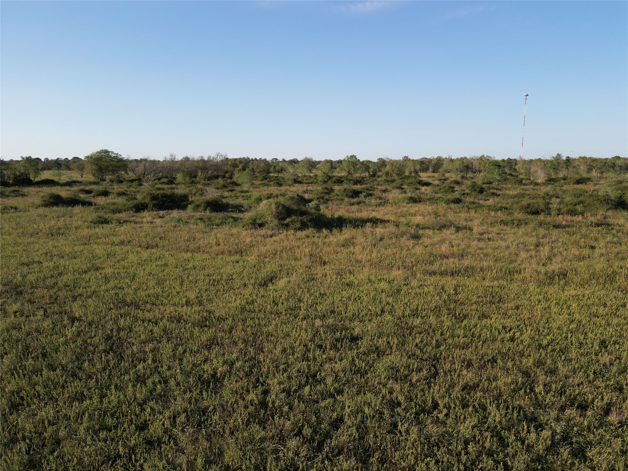 0 County Road 220 Angleton, TX 77515 - Photo 13 of 22