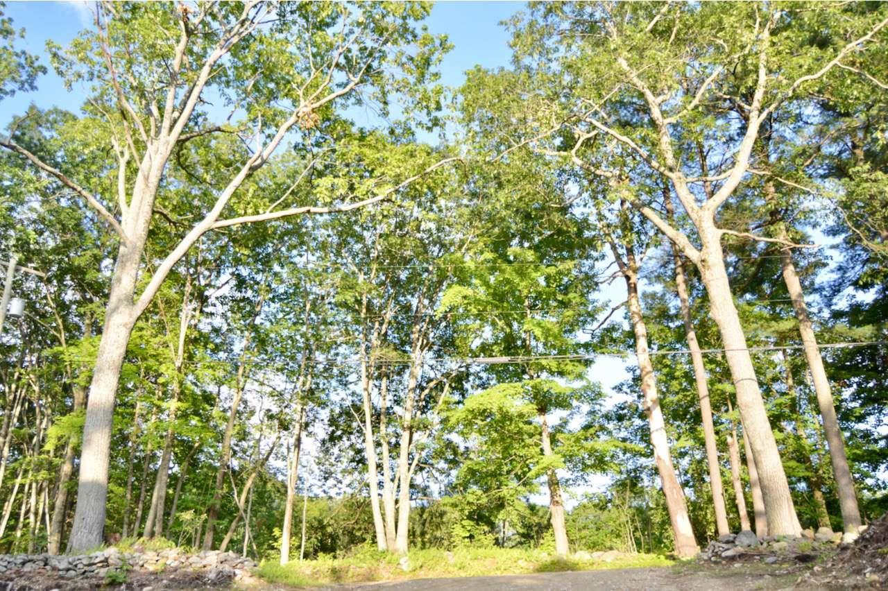 202 Lord Brook Road Rindge, NH 03461 - Photo 10 of 10