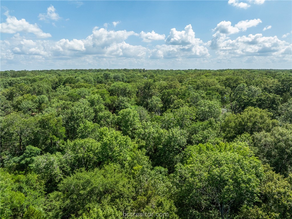Tbd Weber Road Bryan, TX 77808 - Photo 37 of 43