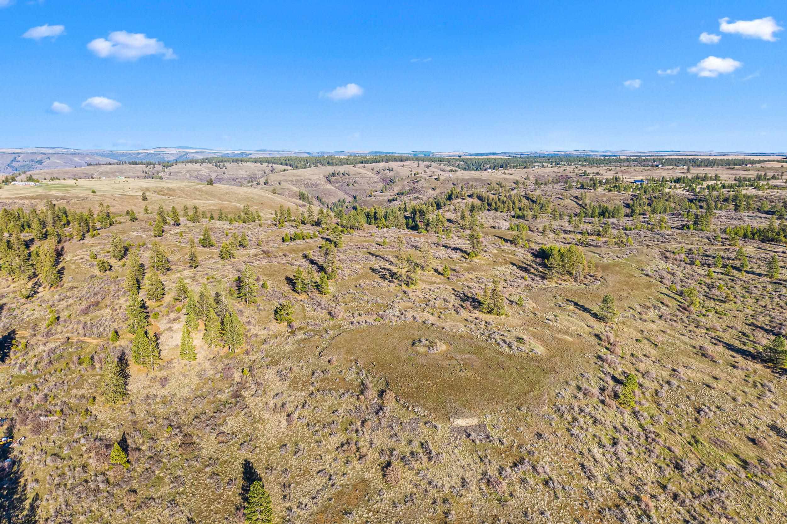 27220 Underwood Cyn Road East Creston, WA 99117 - Photo 6 of 13