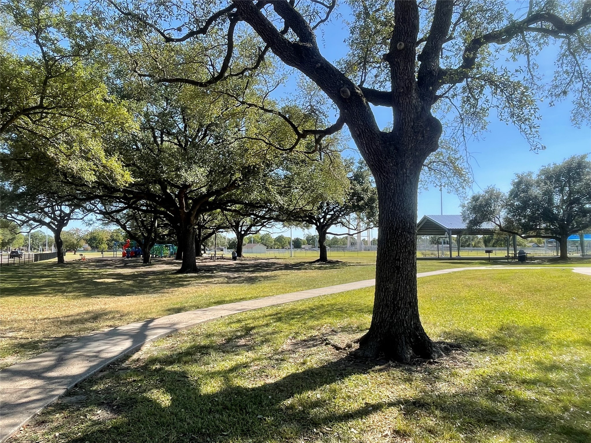 10331 Collingswood Road La Porte, TX 77571 - Photo 22 of 29 a view of a yard with a tree