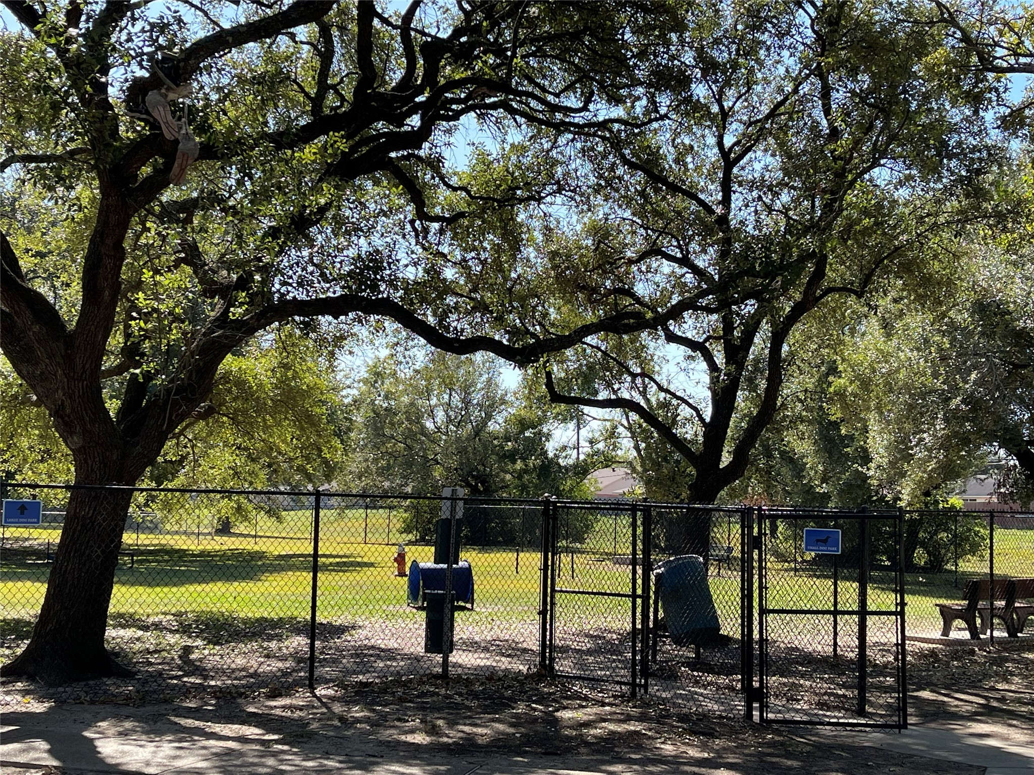 10331 Collingswood Road La Porte, TX 77571 - Photo 24 of 29 a view of a yard with a large tree
