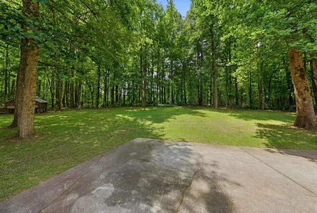 217 Browning Road Villa Rica, GA 30180 - Photo 3 of 45