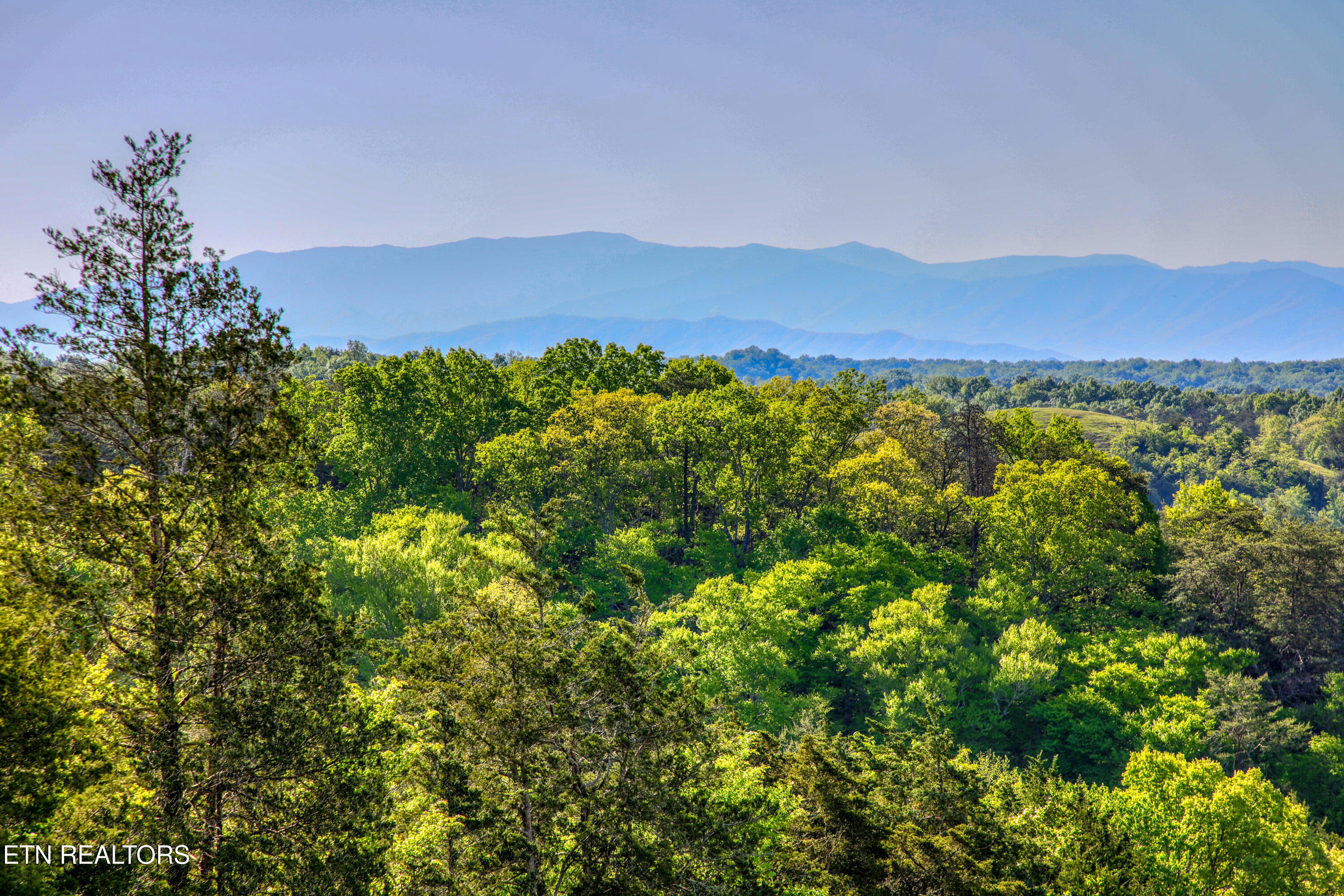 1424 Millican Grove Road Sevierville, TN 37876 - Photo 29 of 29 0H3A9903_76