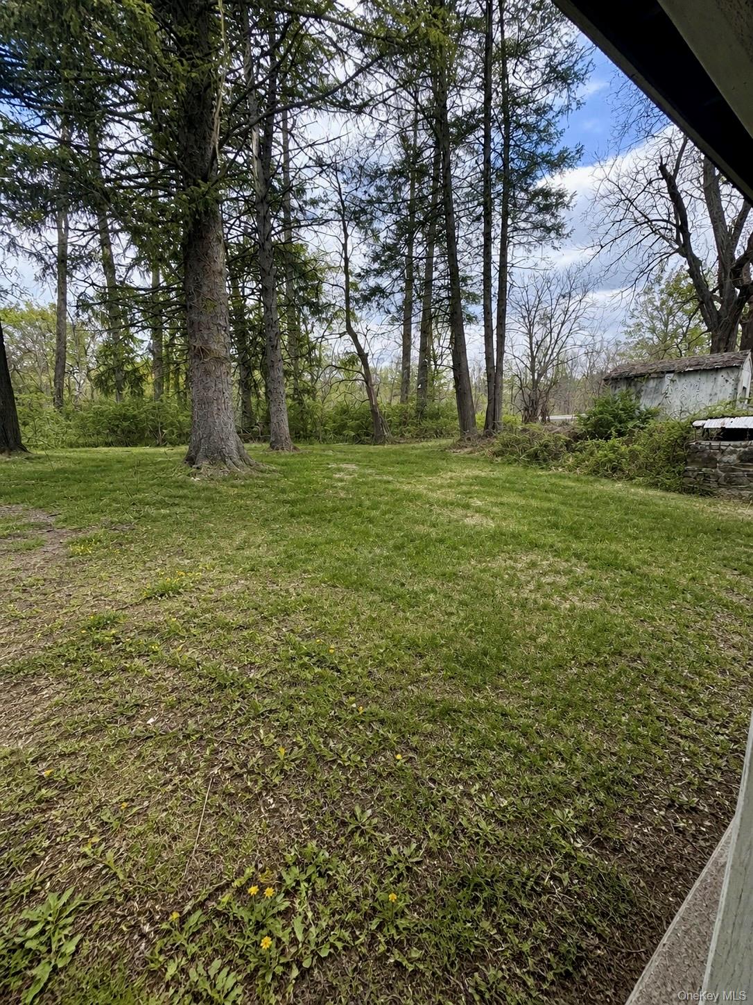 953 Creek Locks Road Rosendale, NY 12472 - Photo 6 of 12