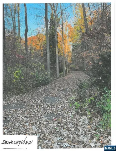 a view of a yard with trees