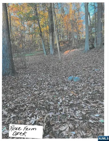 a view of a yard with trees in the background