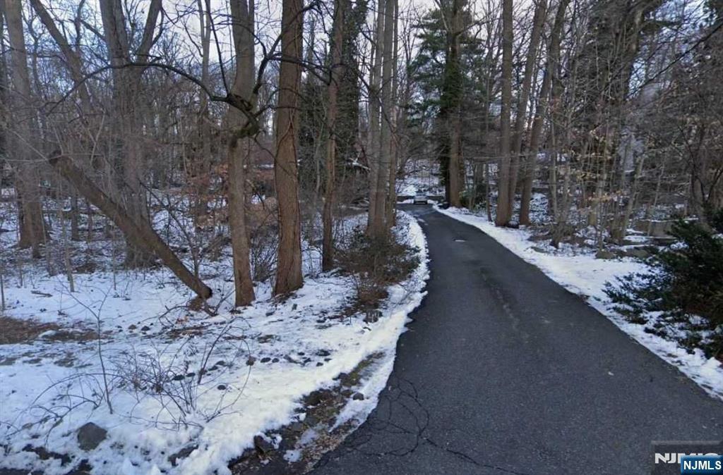44 Robin Lane Alpine, NJ 07620 - Photo 3 of 6 a view of a yard with large trees