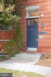 a view of a swimming pool with trees and snow in the back