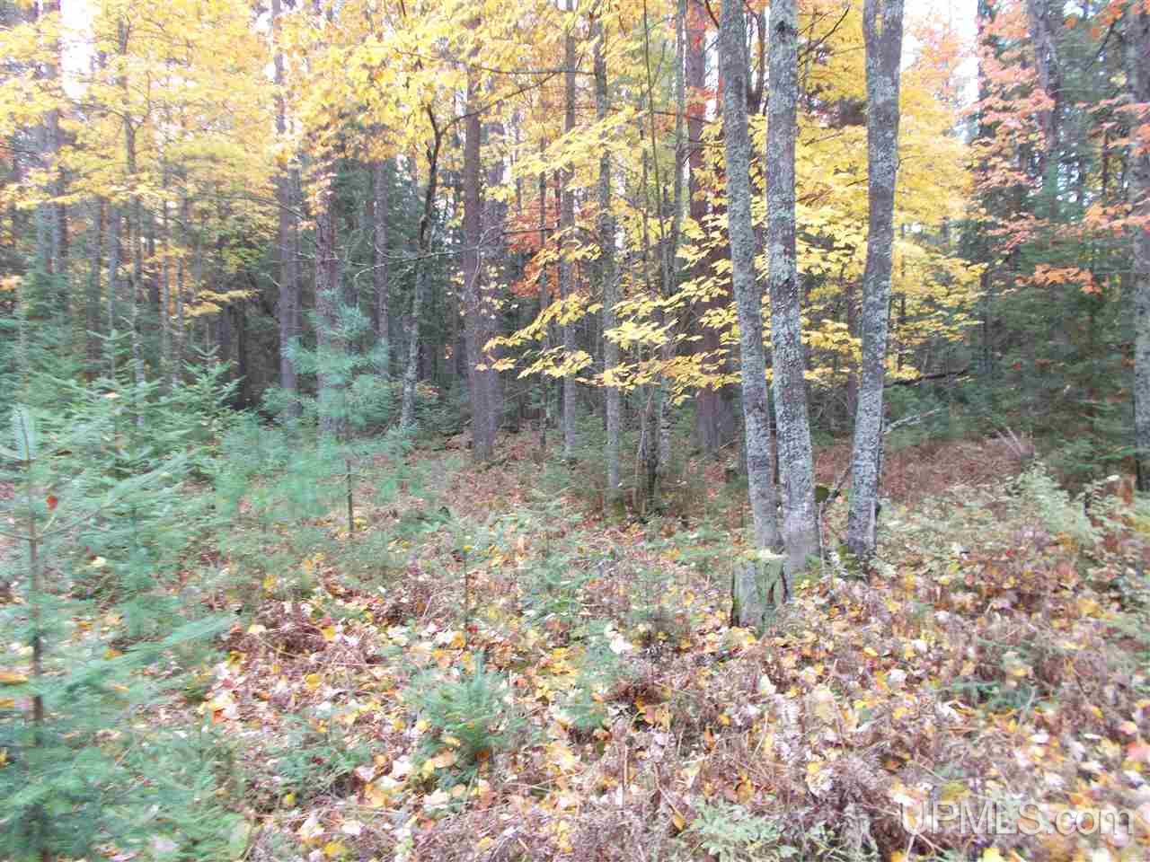 190-acres Clark Creek Road Ishpeming, MI 49849 - Photo 19 of 25 Gallery Image 19