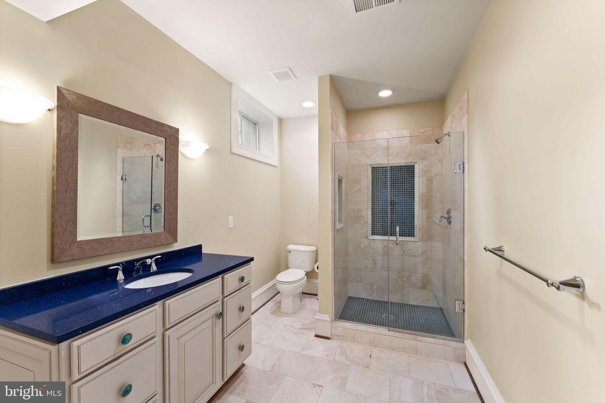 1105 Towlston Road McLean, VA 22102 - Photo 47 of 50 Lower level en-suite bathroom