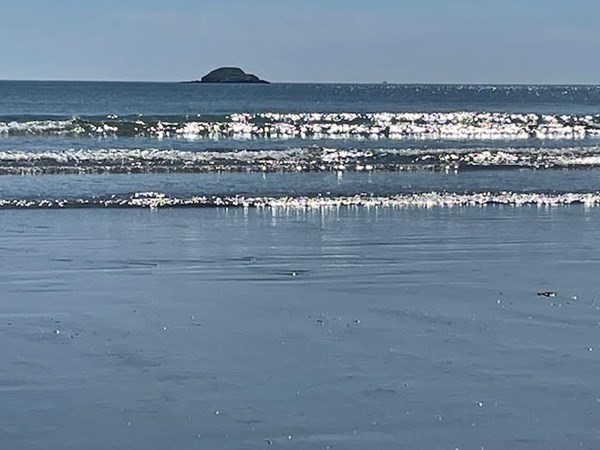 14 Howe Road Nahant, MA 01908 - Photo 32 of 35 Gallery Image 32