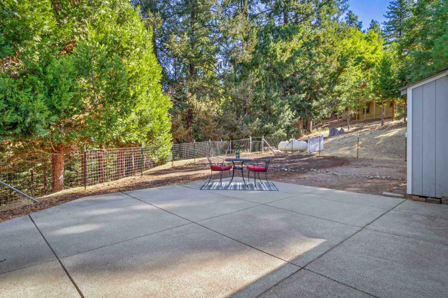 5341 Puerta Del Sol Road Camino, CA 95709 - Photo 27 of 32 a view of a backyard with a bench and trees