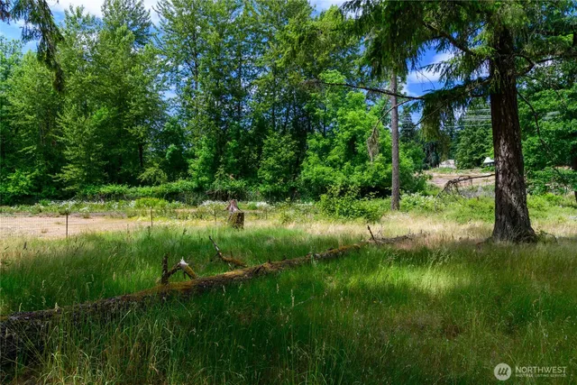 a view of a garden with a lake