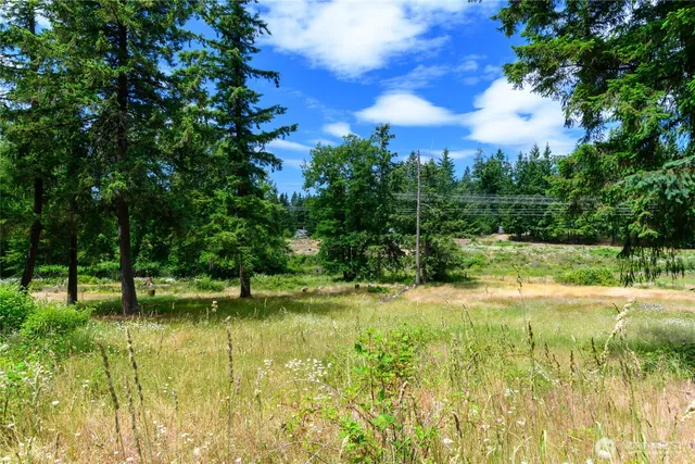 a view of a lake view with a big trees