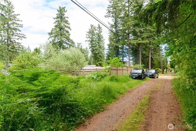 a view of a street with large trees