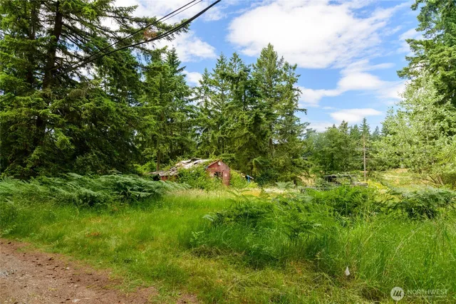 a backyard of a house with lots of green space