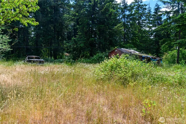 a backyard of a house with lots of green space and garden